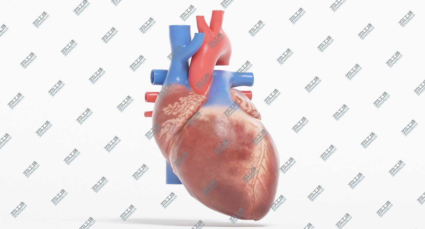 images/goods_img/20210113/3D Human Heart Animated (Pro Version)/5.jpg